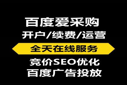 初探SEM推广代运营的多种成功模式